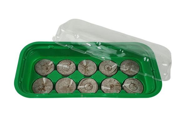 Anzuchtset inkl. 10 Quelltabs grün